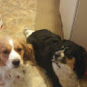 Meet your Posher, Tamara